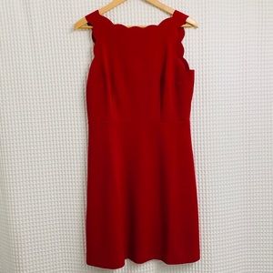 Ann Taylor LOFT Deep Red Scalloped Mauve Dress